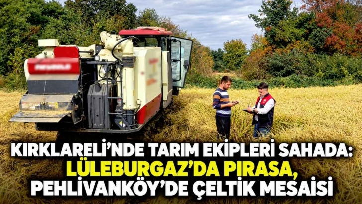 Kırklareli’nde Tarım Ekipleri Sahada: Lüleburgaz’da Pırasa, Pehlivanköy’de Çeltik Mesaisi | KIRKLARELİ